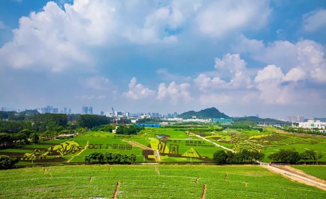 贺庆:在庆祝祖国70华诞之际,作为2019年华侨城文化旅游节分会场活动,"