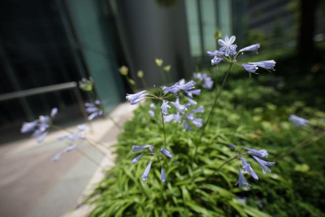 《SIGMA Art 14mm F1.8 DG HSM》全画幅Art系列镜头