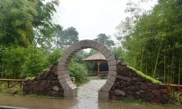 中秋将至 | 是时候把竹博园的行程定下来了