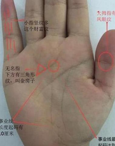 手相上看,掌中此处过短注定是老板命,事业有成__凤凰网