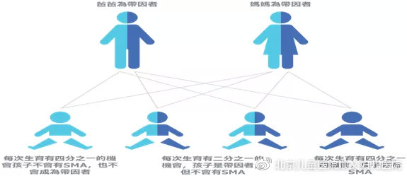 答:脊髓性肌肉萎缩症(简称"sma)是一种常染色体隐性遗传病,患者脊髓