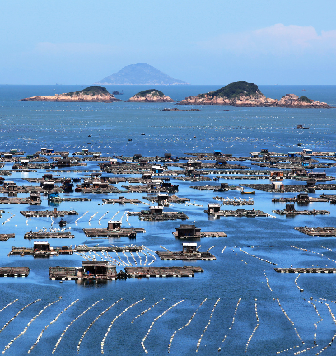 沿海人民是如何喂饱中国的？| 地球知识局