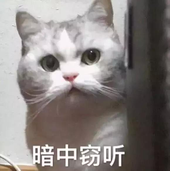 小心隐私，你的手机和智能音箱都在录音给别人听