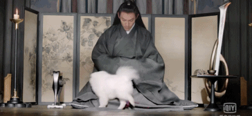 「Sir电影」今年超过8分的国产剧，只有这7部