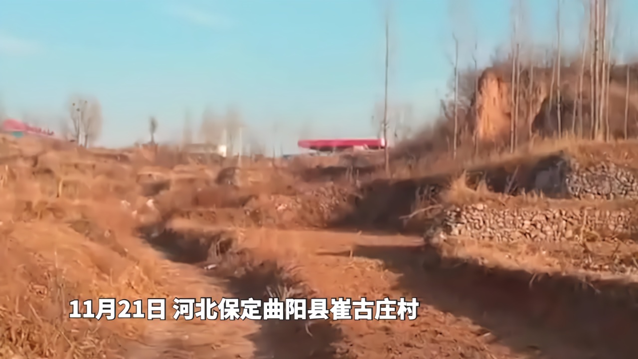 河北9岁女童上学路上被狗咬死！律师：狗主人或承担刑事责任