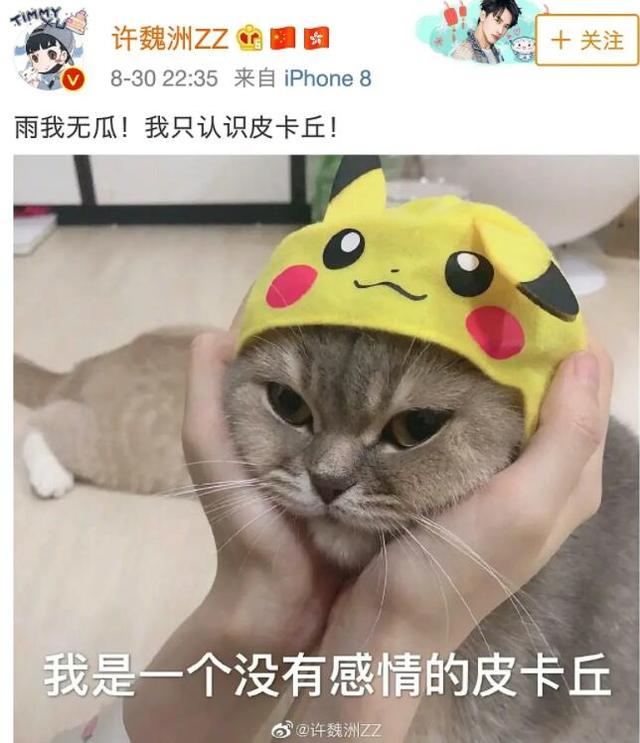 在所有网红嫂子里，方媛最好命周扬青最会赚钱，他女友最无语