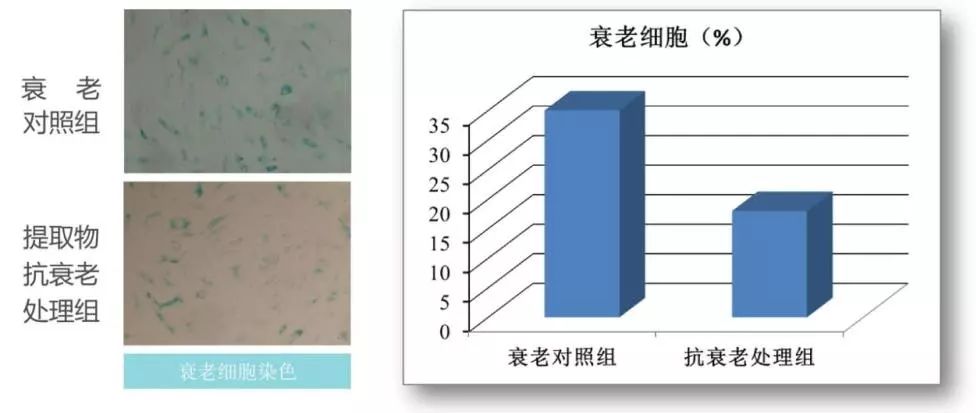 [钛媒体]清华学霸们做出2019年度抗衰“黑马”，28天还你美好肌肤