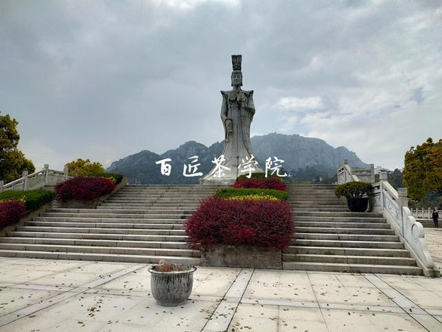 一方水土养一方人,福鼎老茶人带您看尽福鼎白茶的前世今生