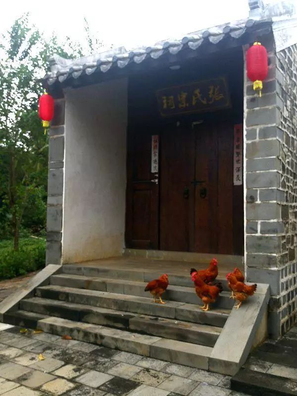 段英贤定安高林村海南历史上唯一的探花故里三世功名发源地