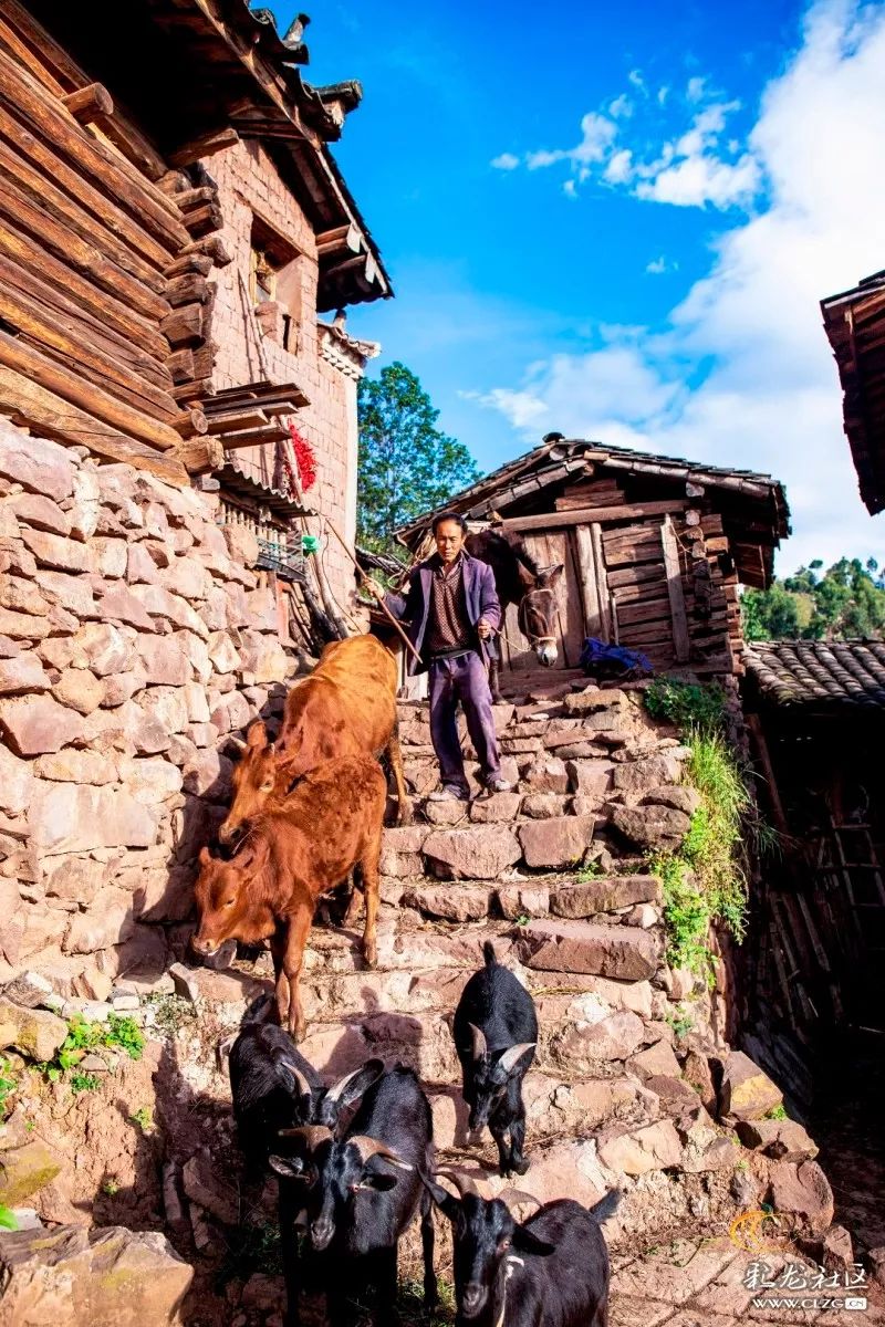 楚雄彝族自治州山寨子里将消失的木垛房,见证着彝家人生活的变迁
