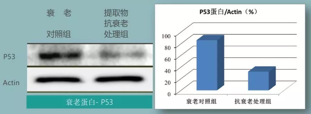 [钛媒体]清华学霸们做出2019年度抗衰“黑马”，28天还你美好肌肤