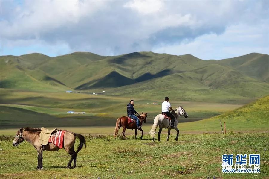 8月13日,游客在甘南藏族自治州碌曲县尕海镇尕秀村草原上骑马.