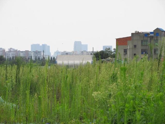 你去过地铁尽头吗？我都去过