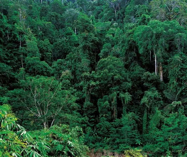 [新氧App]学她者生，似她者死，这个省的美人学都学不来