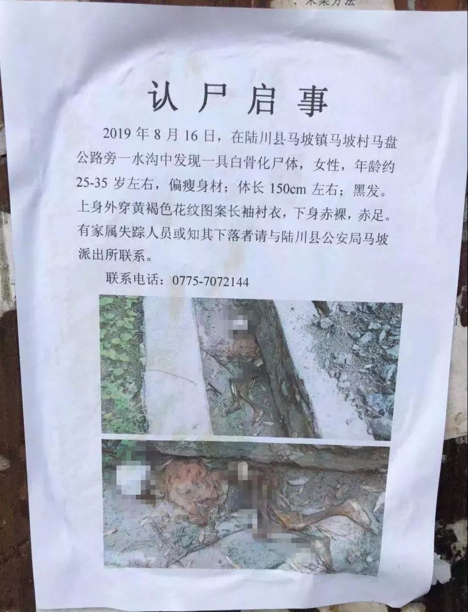 月16日,在陆川县马坡镇马坡村马盘公路旁水沟中发现具白骨化尸体,女性