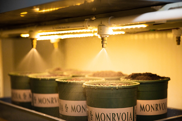 什么是循环经济?这家公司的生物降解测试服务