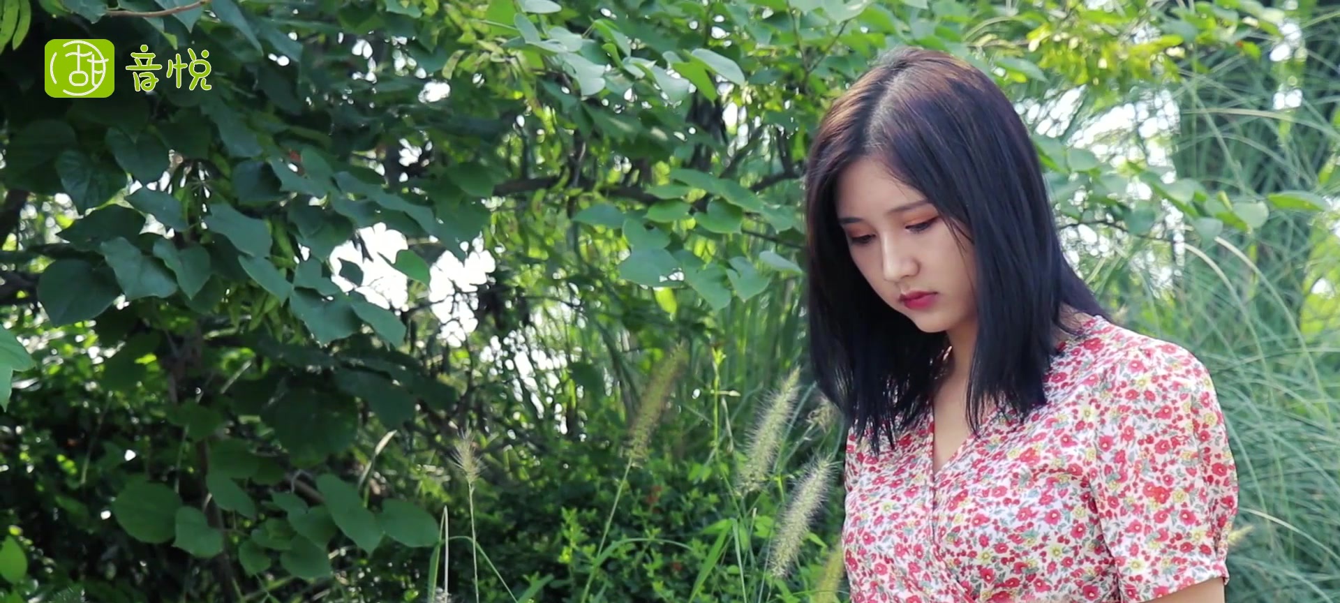 韩宝仪抹不去的泪水图片