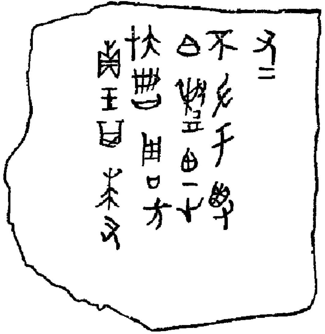 走进甲骨文的世界探寻古代文明