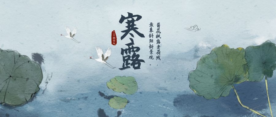 寒露时节到寒露有三侯一候鸿雁来宾二候雀入大水为蛤三候菊有黄华寒露