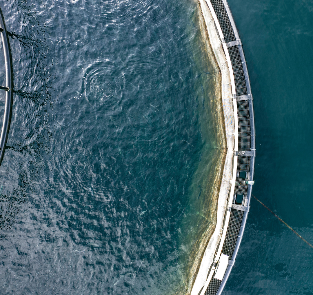 沿海人民是如何喂饱中国的？| 地球知识局