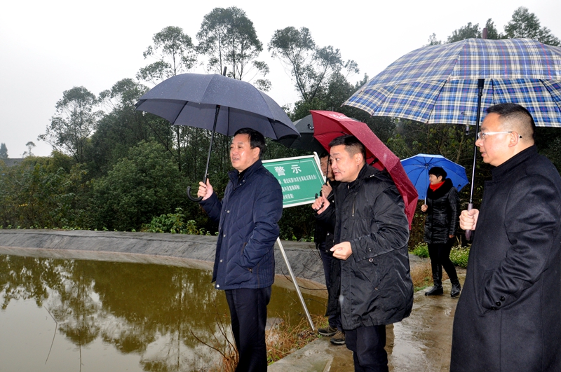 江津区副区长吴晓琳到朱杨镇巡查调研