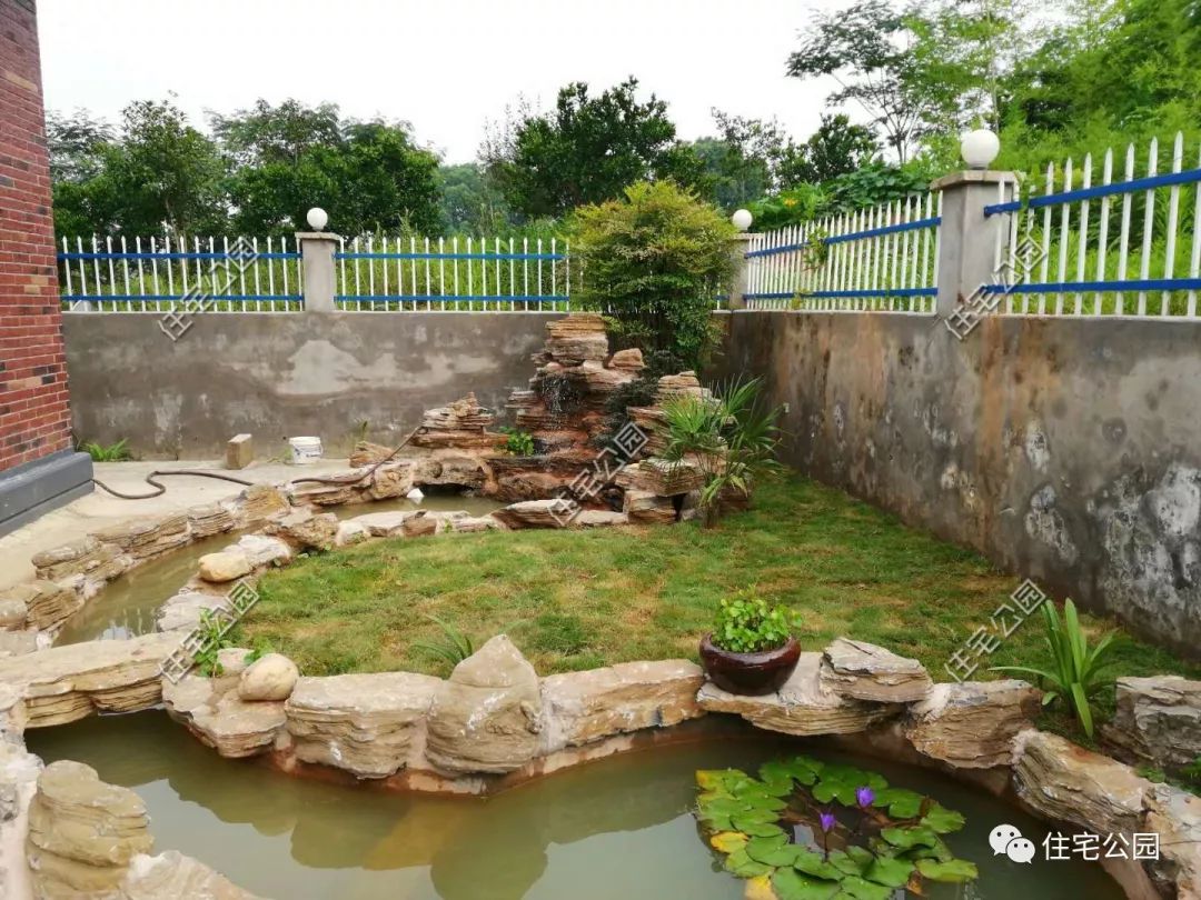 晒家丨70万建座农家小院,洋房,花池,假山,这才叫生活
