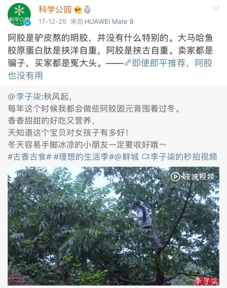 「PingWest品玩」展开讲讲，为什么有人不喜欢李子柒