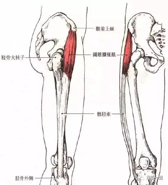 [新氧App]张天爱紧身西服泳装上热搜，但这骨盆前倾隔着屏幕都觉得疼！
