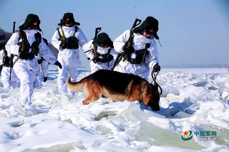 被95式步枪“养大”的射手 如何评价03式步枪?