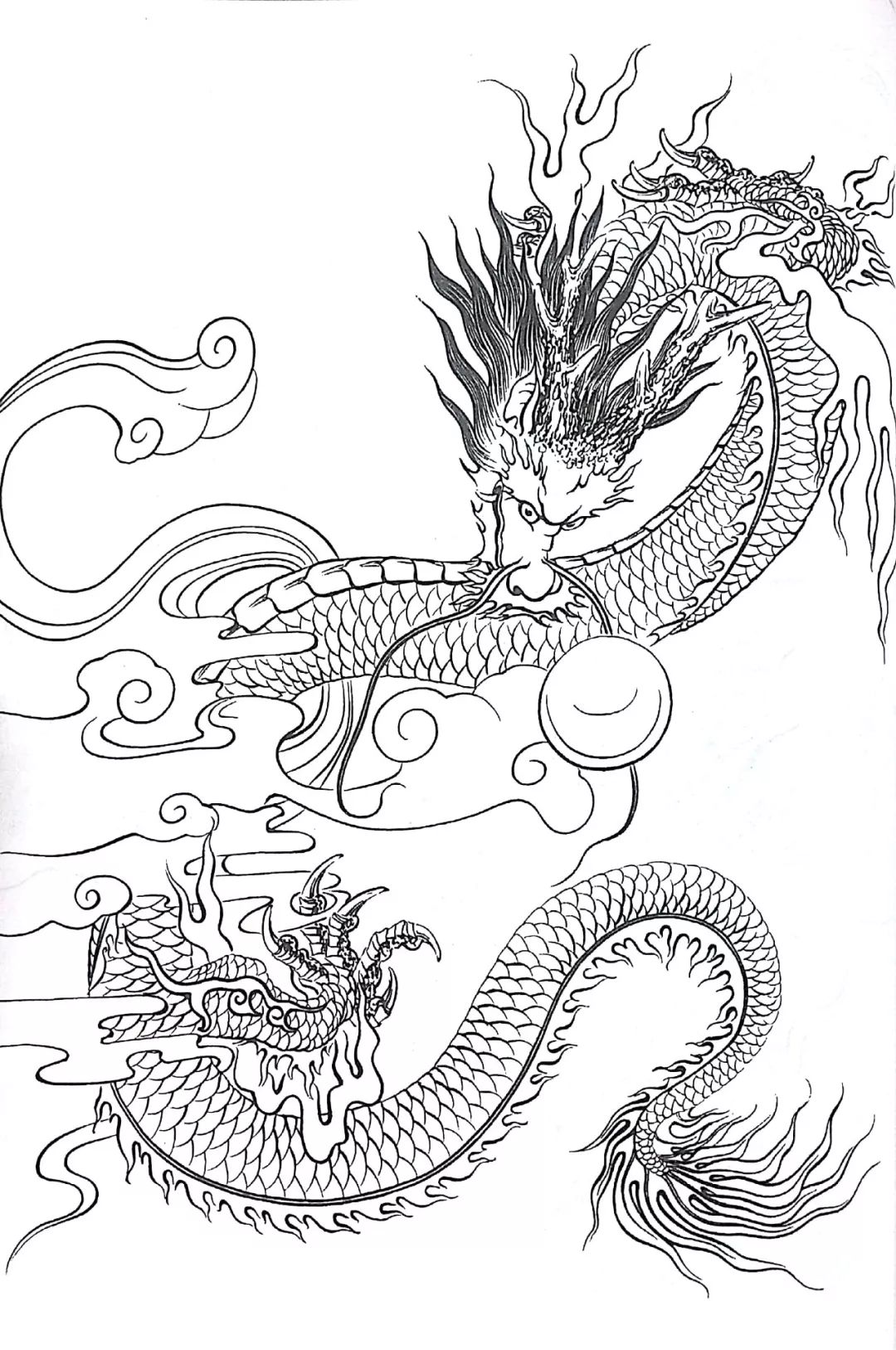 书画鉴赏丨中国龙 白描画稿