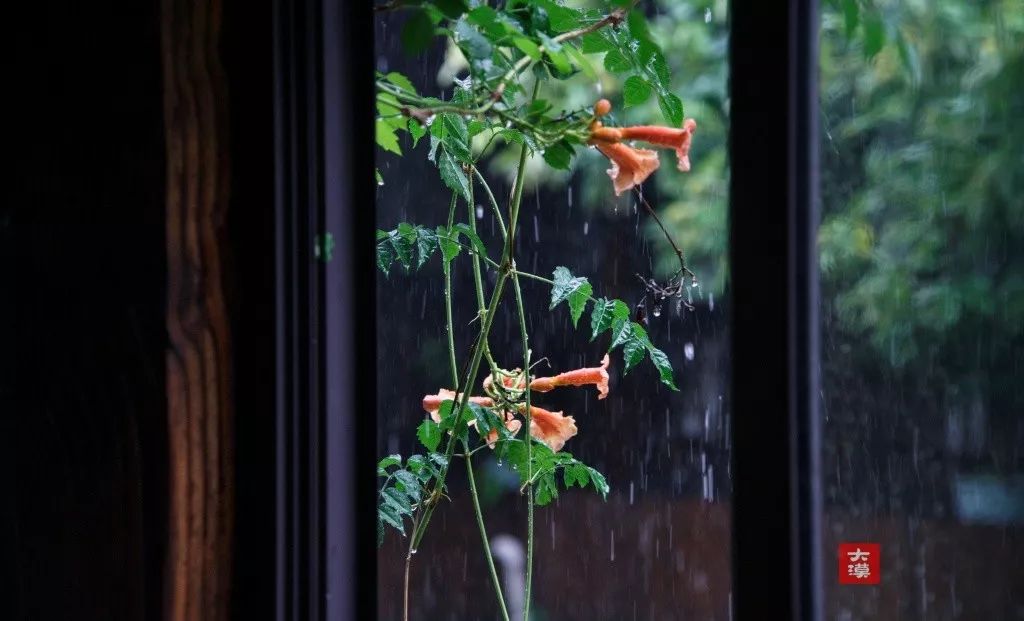 故宫雨,西湖雨,梧桐雨……一年中就属这排雨字头风物诗最是撩人