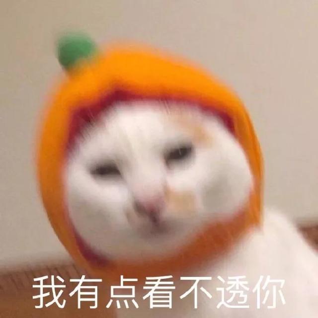 5分钟就死女主？这部无脑沙雕剧，却甜到让人尖叫编辑：奇趣网发布：2019-12-21 13:10:08