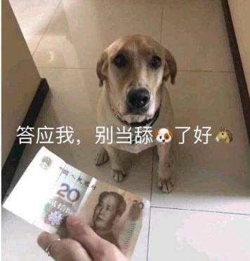 又来了！朱丹称周一围陪产用话剧腔倒数，护士还要把他声音录下来…