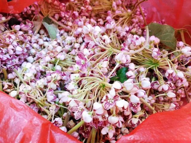 云南人用鲜花做成美食菜，好看又好吃