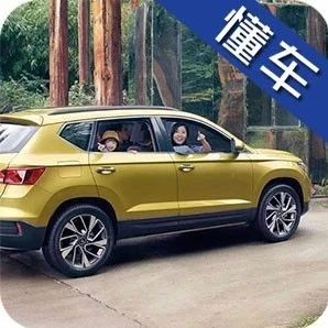 换壳大众不到9万,这车一出国产要凉?