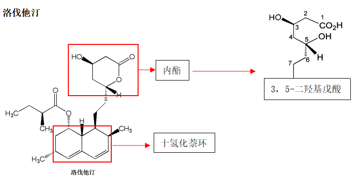 (4)洛伐他汀与烟酸(>1g/d),吉非贝齐或贝特类合用,可使横纹肌溶解和