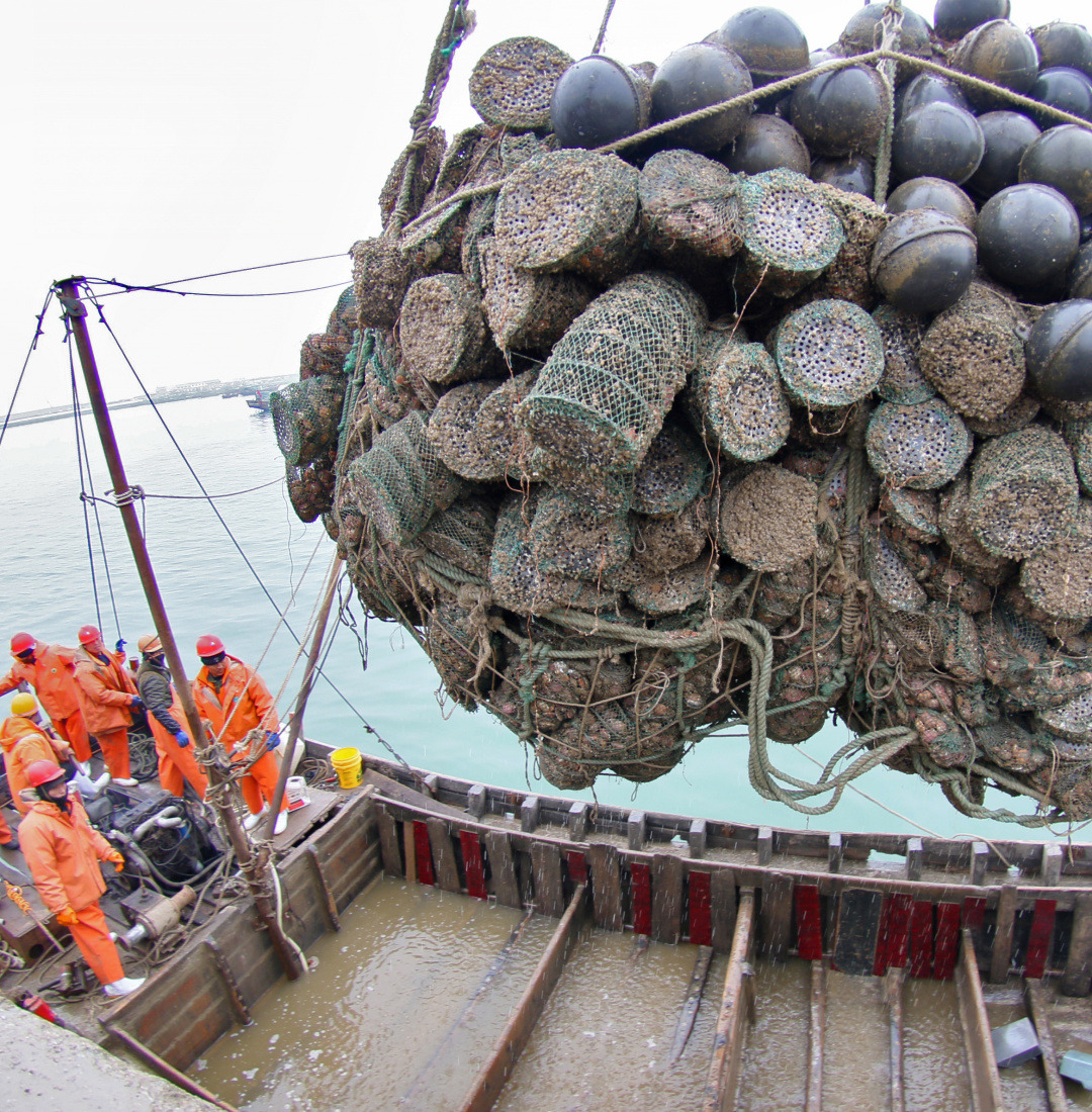 沿海人民是如何喂饱中国的？| 地球知识局