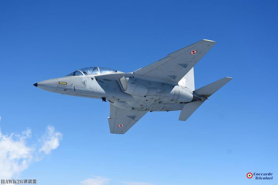 波兰空军拍摄m346教练机有点像中国猎鹰