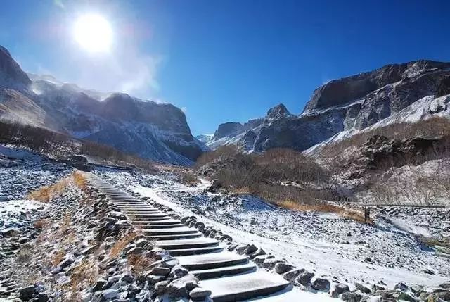 在冬日怀旧之旅中探索银幕上的温暖与慰藉