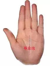男左女右,教你手相看命,自己也能看!
