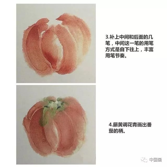 国画入门教程蔬果篇番茄冬瓜的画法