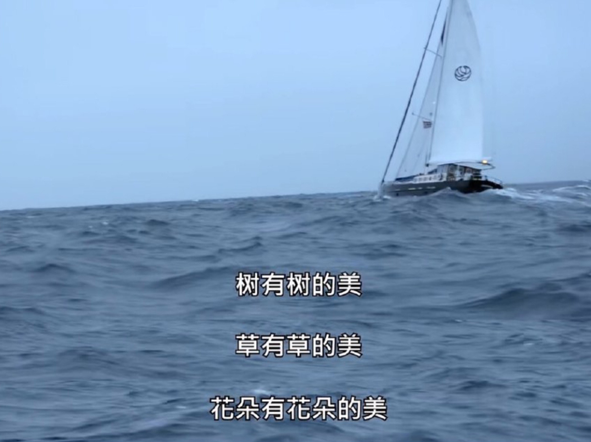 「桃红梨白」奚梦瑶成豪门阔太，31岁的刘雯没谈过一次恋爱，同是超模出身对比令人唏嘘