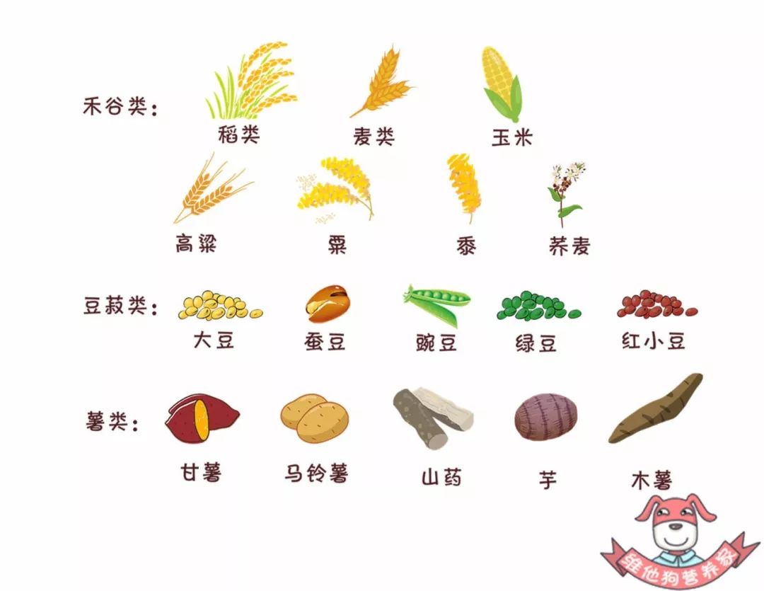 好好吃"饭"到底怎么吃?关于主食那些不得不说的秘密