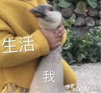 他真的是人美心善的小天使吧