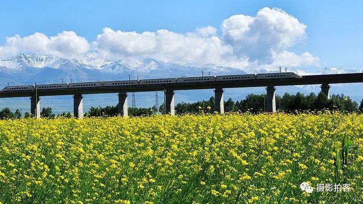 2019青海自驾旅行摄影:门源,山丹军马场,祁连