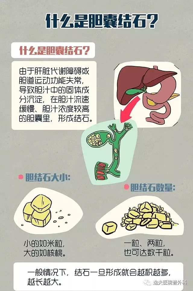 胆囊对于我们人体来说是一个有着神奇功能的器官