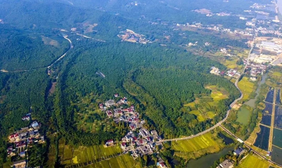 南浔区双林镇后坝村