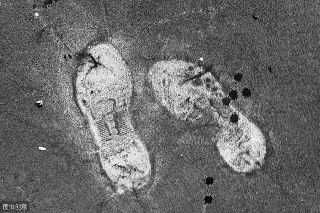 史前文明探秘:三叶虫上的鞋印