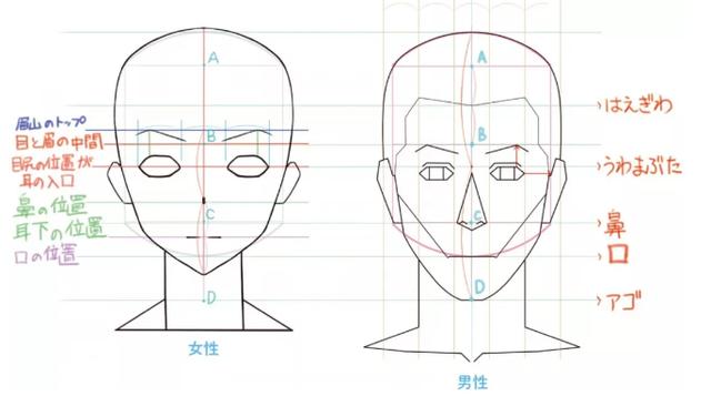 五官难绘画?看了这些知识技巧秒杀众生