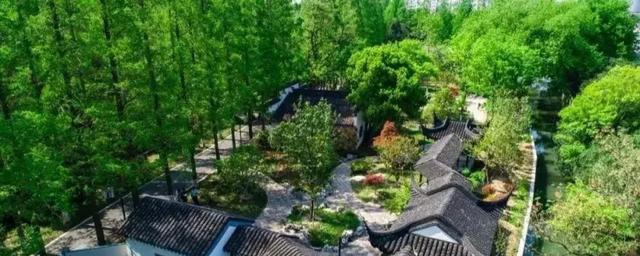 厉害了!昆山亭林公园与森林公园改造完成